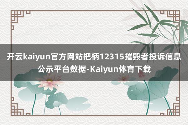 开云kaiyun官方网站把柄12315摧毁者投诉信息公示平台数据-Kaiyun体育下载