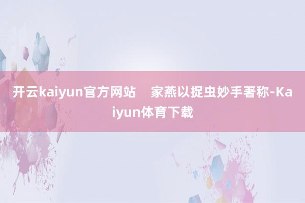 开云kaiyun官方网站    家燕以捉虫妙手著称-Kaiyun体育下载