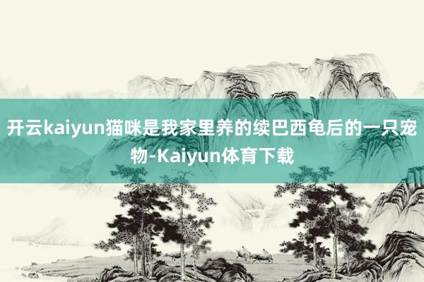 开云kaiyun猫咪是我家里养的续巴西龟后的一只宠物-Kaiyun体育下载