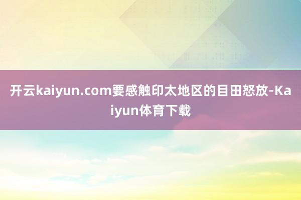 开云kaiyun.com要感触印太地区的目田怒放-Kaiyun体育下载